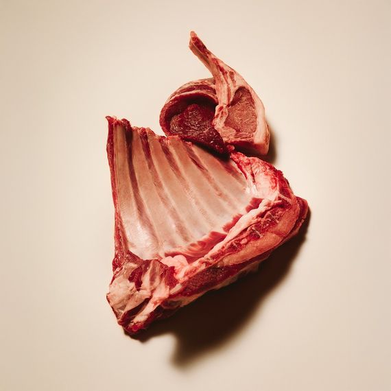 Корм вологий Carnilove Lamb &amp; Wild Boar д/собак паштет ягня і дикий кабан 400 г | Зображення 1