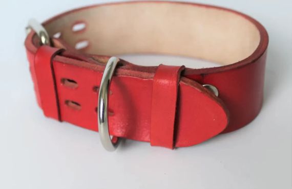 Шкіряний нашийник для собак ширина 3 см червоний