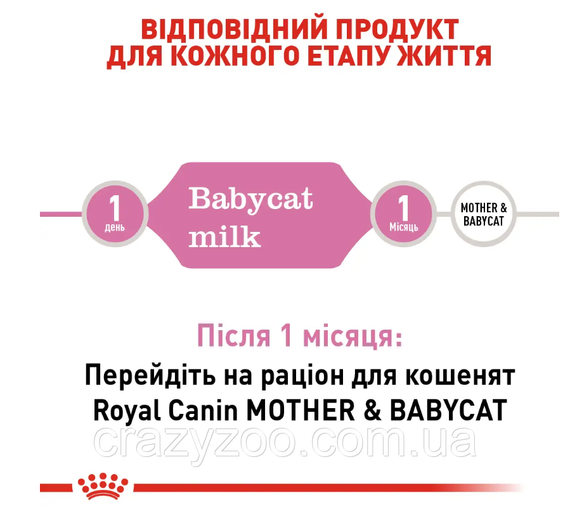Замінник молока для кошенят Royal Canin Babycat milk від народження 300 г 2553003 | Зображення 2