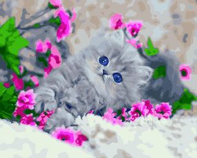 Голубоглазый котенок