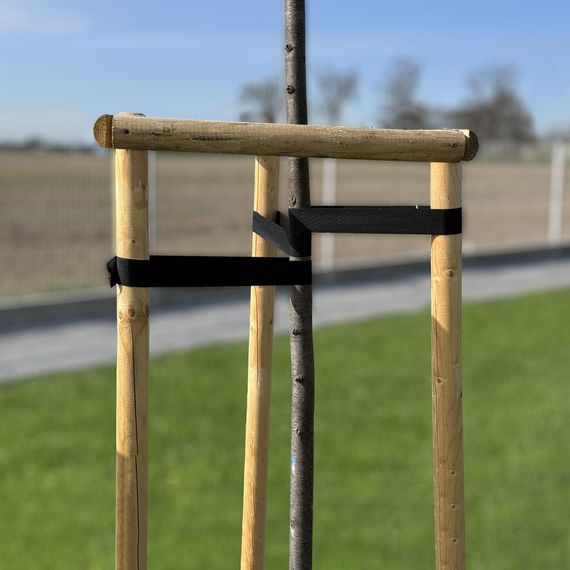 Стрічка для стабілізації дерев Bradas TREE SUPPORT, 30 мм x 25 м (TYTS3025/BK) | Зображення 2