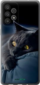 Чохол на Samsung Galaxy A73 A736B Димчастий кіт "825u-2586-2448"