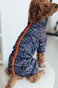 Дощовик кант рябий M-101