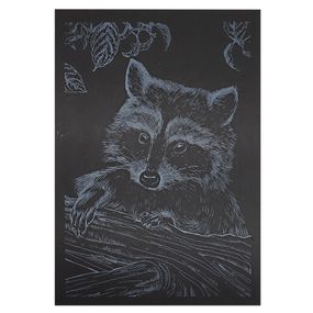 Гравюра А5 "Енот" ГрА5с-24 эконом вариант в пакете 21 х 14,8 см