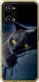 Чохол на Realme GT Neo 3T Димчастий кіт "825u-2960-2448"
