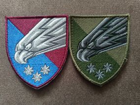 Шеврон 25 Окрема повітряно-десантна бригада