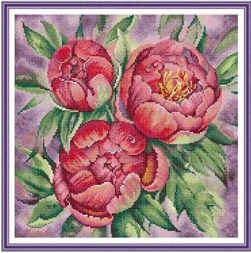 Набор для вышивания по нанесённой на канву схеме "Peony". AIDA 14CT printed 37*37 см