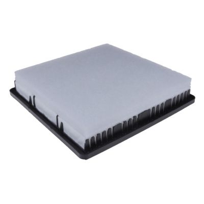 Воздушный фильтр для автомобиля Blue Print ADG022132 | Зображення 1