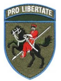 Шеврон 110 ОМБР Pro Libertate