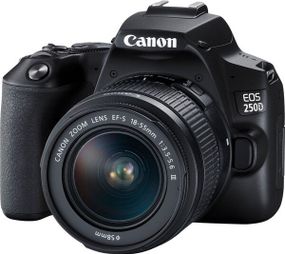 Цифрова дзеркальна фотокамера Canon EOS 250D kit 18-55 DC III Black (3454C009)