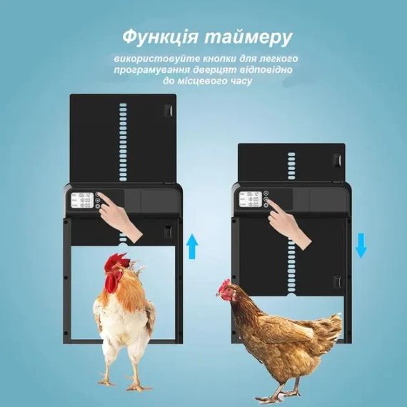Автоматические двери для курятника с ЖК-дисплеем и таймером, заслонка/ворота для сельскохозяйственных птиц от | Зображення 3