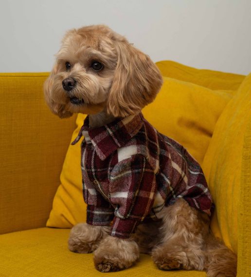 Сорочка картата винного кольору RUB-54