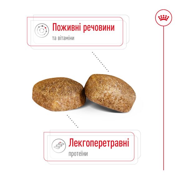 Корм Royal Canin Giant Adult сухой для взрослых собак гигантских пород 4 кг | Зображення 2