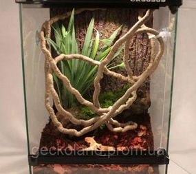 Ліана гнучка 1м декорація для рептилій у тераріум