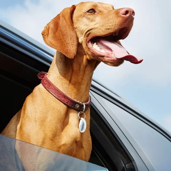 Трекер Hoco DI29 Plus portable anti-lost tracker White | Зображення 4