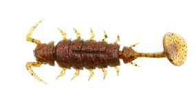 Виброхвосты съедобные искусственные LJ Лаки Джон Pro Series ALIEN BUG 2,5in (06,35)/PA03 7шт.