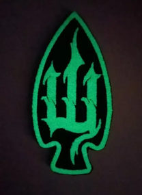 Шеврон (флуоресцентний)