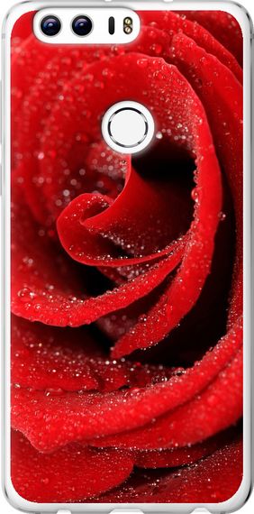 Чехол на Huawei Honor 8 Красная роза "529u-351-17620"