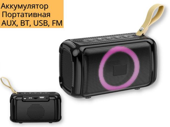 Портативна колонка XPRO BR17 5Вт USB, AUX, FM, Bluetooth чорна (ЦУ-00033703) | Зображення 1