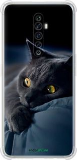 Чохол на Oppo Reno 2Z Димчастий кіт "825sp-1867-2448"