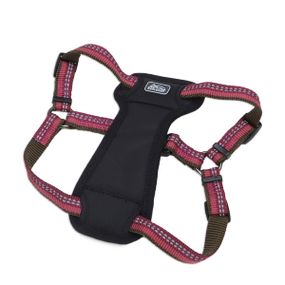 Шлей для собак світловідбивна Coastal K9 Explorer Harness, 66-96 см, пурпурний