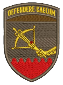 Шеврон Defendere Caelum