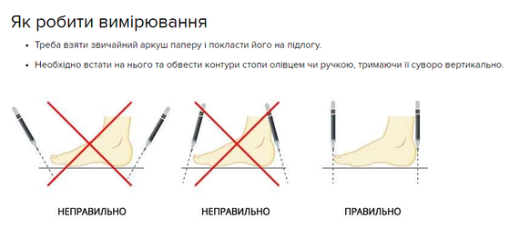 Кросівки Lou1is Vu1it1ton Trainer Grey | Зображення 3