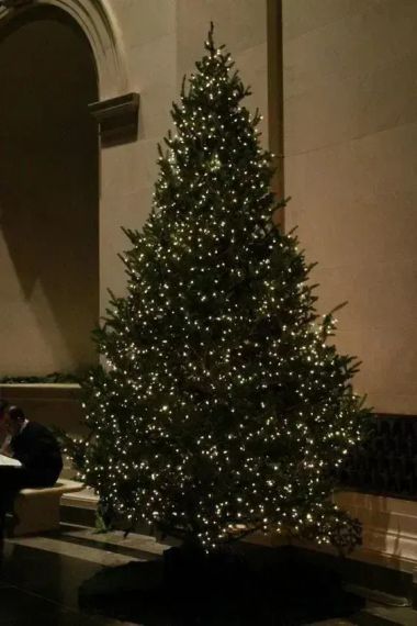 Гирлянда Роса 100 м с теплым белым светом – зеленая нить, пульт, 8 режимов | Зображення 1