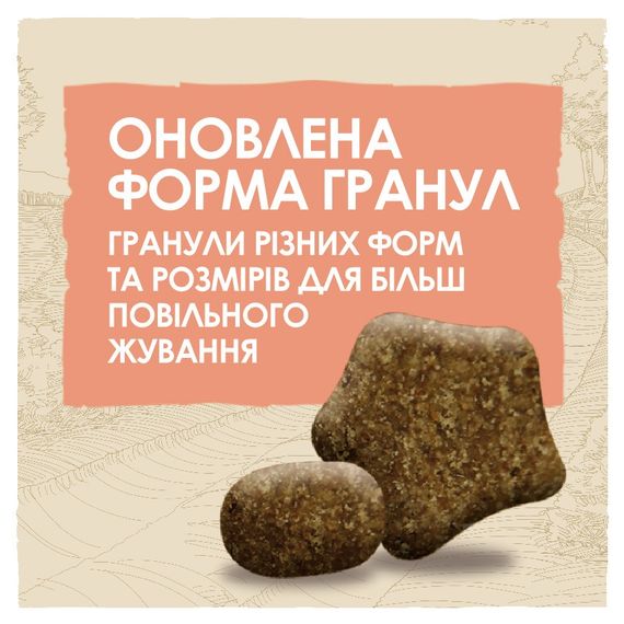 Сухий корм для активних собак з куркою Dog Chow Active Chicken 2.5 кг | Зображення 3