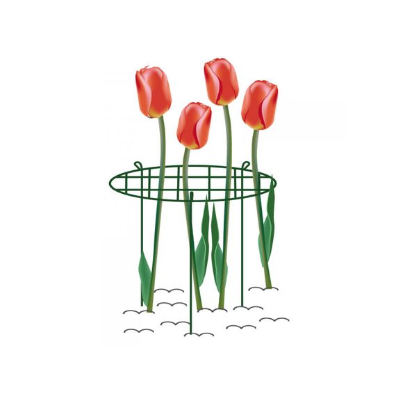 Опора для рослин Bradas кільцева 75 см Ø50 см TYRP15075S | Зображення 1