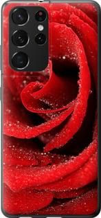Чехол на Samsung Galaxy S21 Ultra (5G) Красная роза из пластика FCh_051482