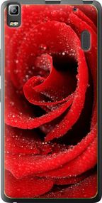 Чехол на Lenovo A7000 Красная роза "529u-120-17620"