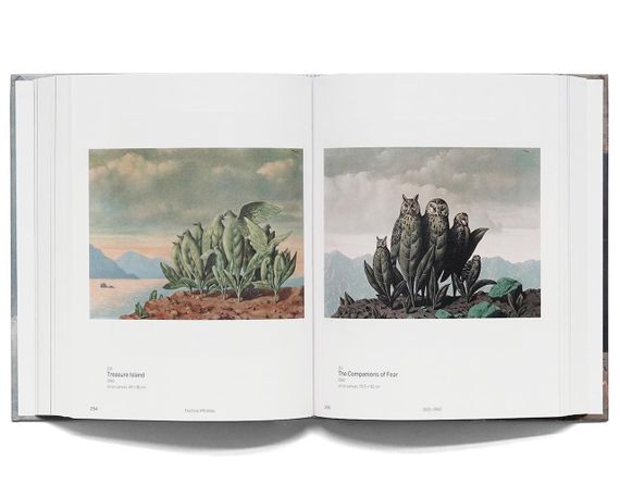 Великі художники книга Рене Магрит Magritte in 400 images. Julie Waseige живопис книги для художників | Зображення 2
