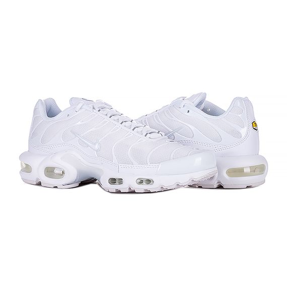 Кросівки Nike AIR MAX PLUS