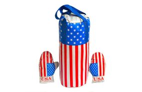 Дитячий боксерський набір Америка 0003DT ВЕЛ з рукавичками