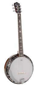 Банджо Richwood RMB-906