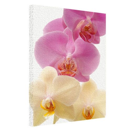 Картина на холсте Орхидеи 45х65 см (H4565_TSV007)