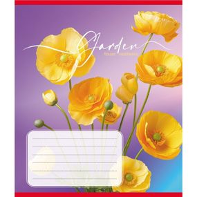 Зошит учнівський "Естетика" 024-550443K-2 в клітинку, 24 аркуші