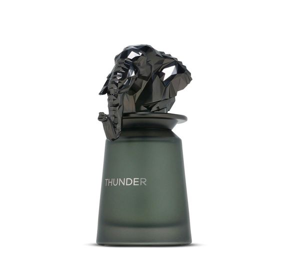 Парфумована вода French Avenue Thunder 100 мл
