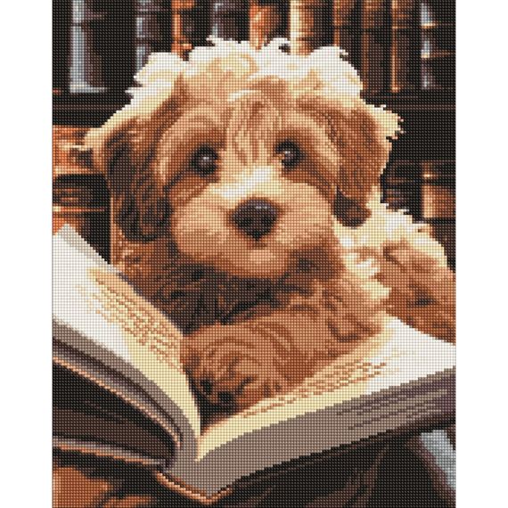 Алмазная мозаика "Пушистый читатель" AMO7973, 40х50 см