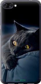 Чохол на Asus ZenFone 4 Max ZC520KL Димчастий кіт "825u-1242-2448"