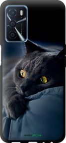 Чохол на Oppo A16 Димчастий кіт "825b-2469-2448"