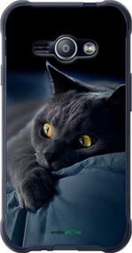 Чохол на Samsung Galaxy J1 Ace J110H Димчастий кіт "825t-215-2448"