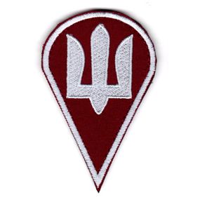 Шеврон "Десантно-Штурмові Війська" (ДШВ)