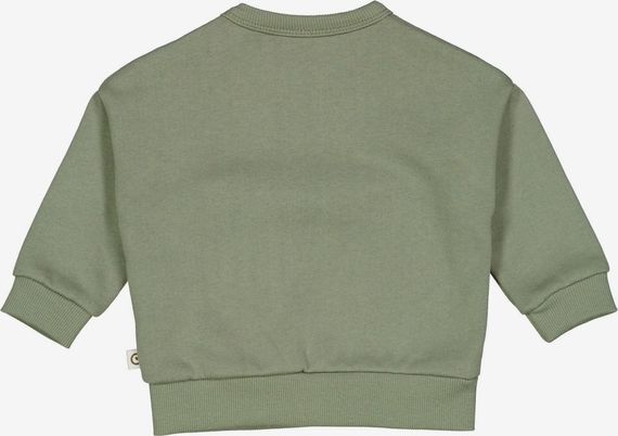 Дитячий теплий світшот для хлопчика Green Cotton 56 см Оливковий (25111268) | Зображення 1