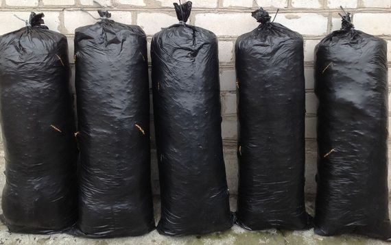 Пакет для грибного блоку чорний 37х100 см | Зображення 1