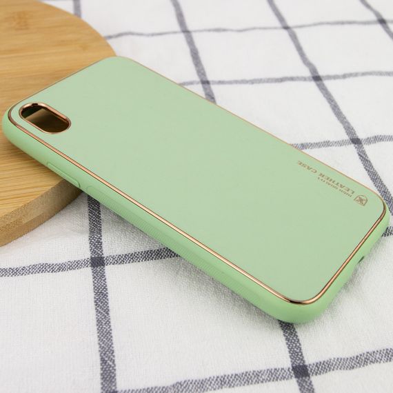 Шкіряний чохол Xshield для Apple iPhone X/XS (5.8") Зелений/Pistachio | Зображення 1