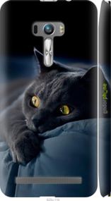 Чохол на Asus ZenFone Selfie ZD551KL Димчастий кіт "825m-116-2448"