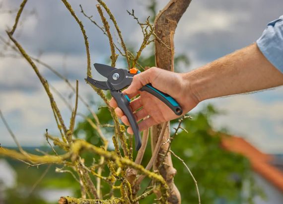 Секатор Gardena PremiumCut Pro dry wood 12250-20 із ковадлом (24 мм) | Зображення 3