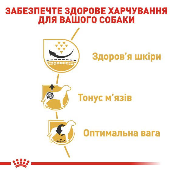 Сухий корм Royal Canin Pug Adult для породи мопс у віці від 10 місяців. 3 кг | Зображення 2